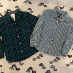 Osh Kosh B’gosh Button Down Shirts